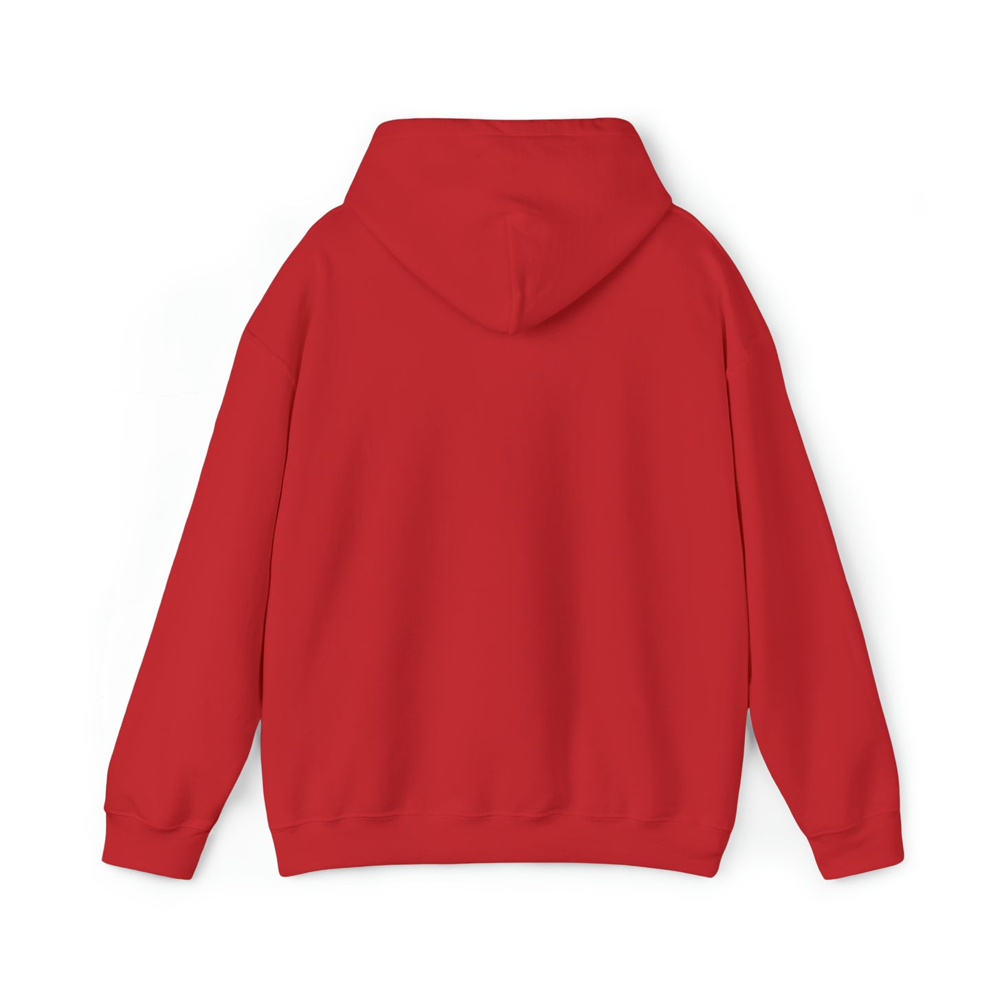 Minobii Niibaa Anama'e Giizhiigad Hoodie