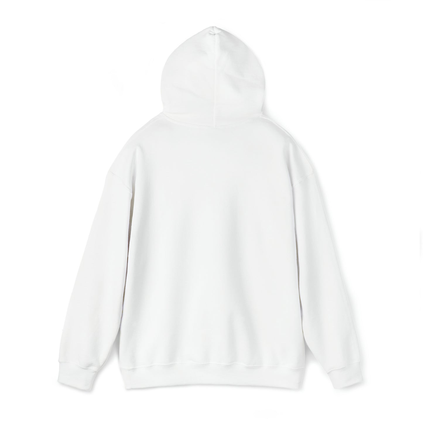 Minobii Niibaa Anama'e Giizhiigad Hoodie
