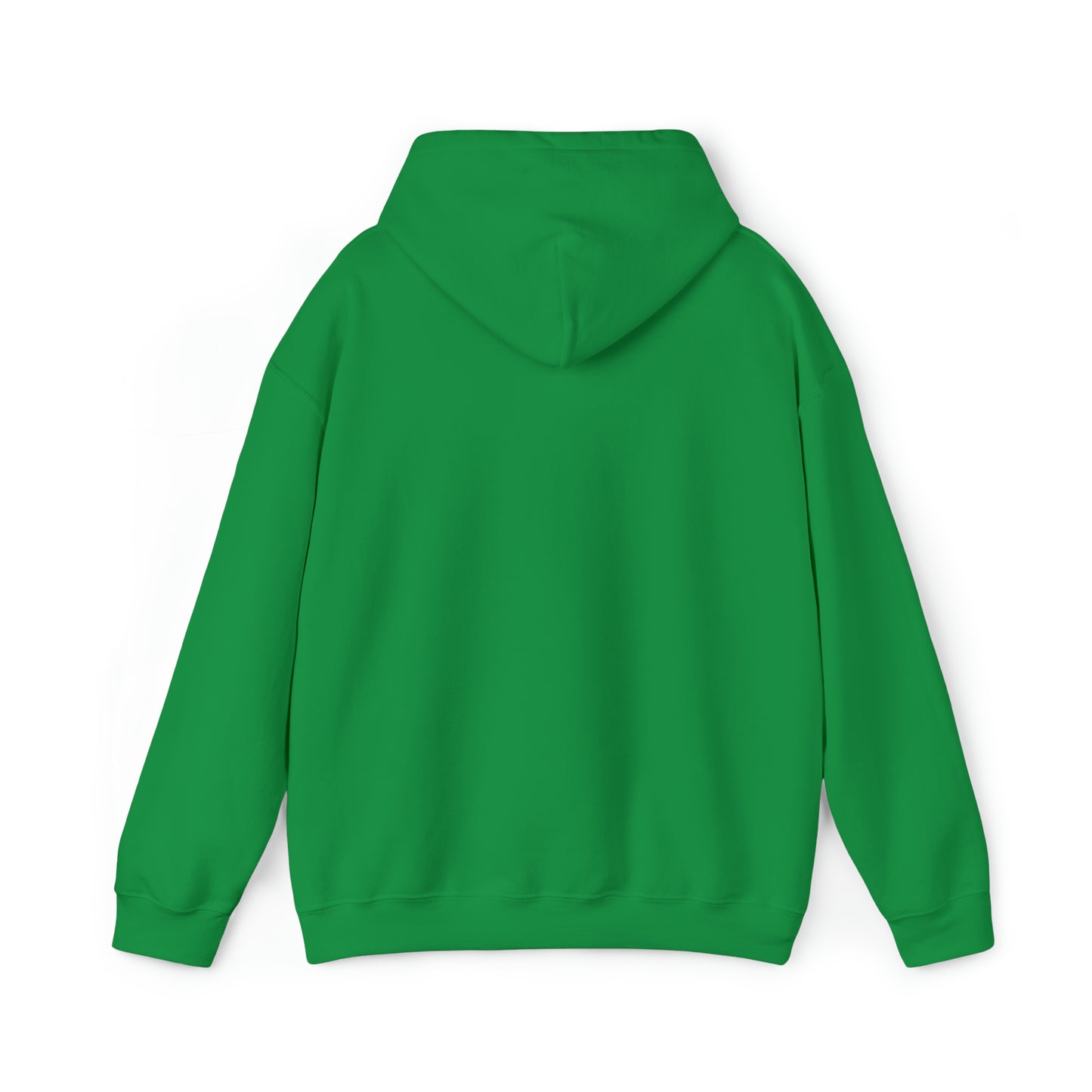 Minobii Niibaa Anama'e Giizhiigad Hoodie