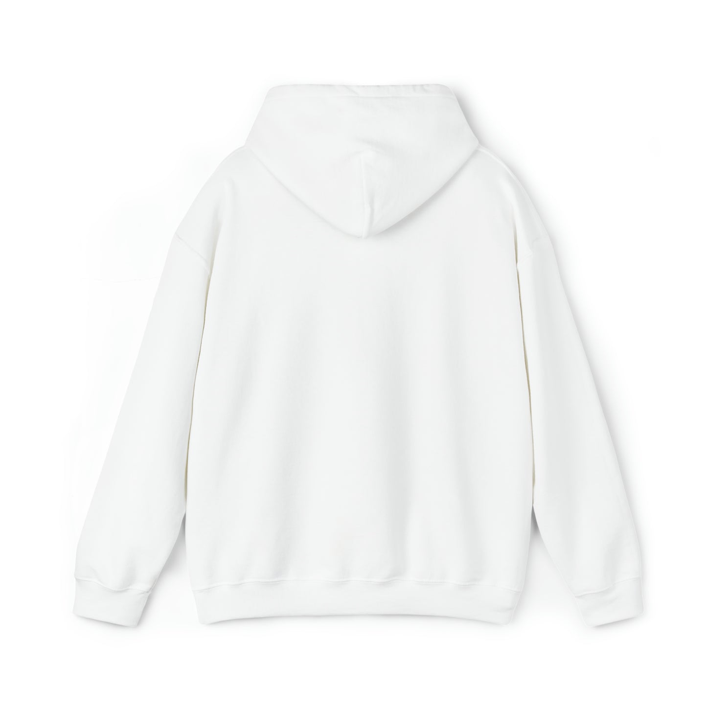 Minobii Niibaa Anama'e Giizhiigad Hoodie